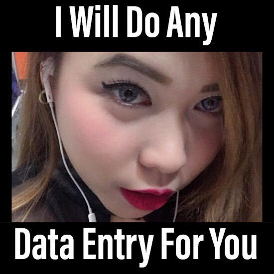 Bestseller - do any type of data entry for you