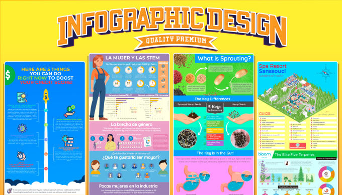 Bestseller - create a professional infographic