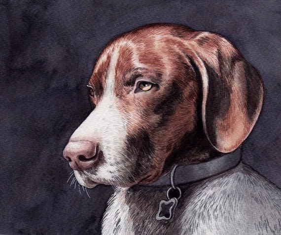 Gig Preview - Draw realistic pet portrait of your cat, dog or any pets