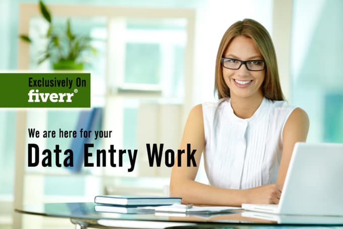 Gig Preview - Do any type of data entry work of 1 hours just