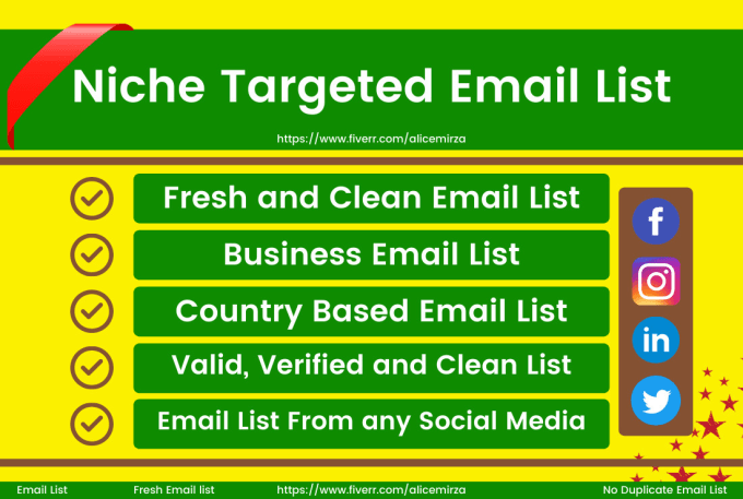 Gig Preview - Create a niche targeted email list