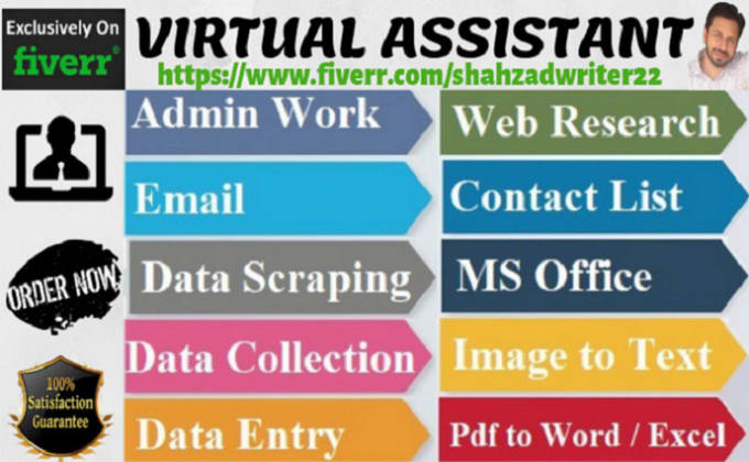 Gig Preview - Be your virtual assistant and accurate data entry