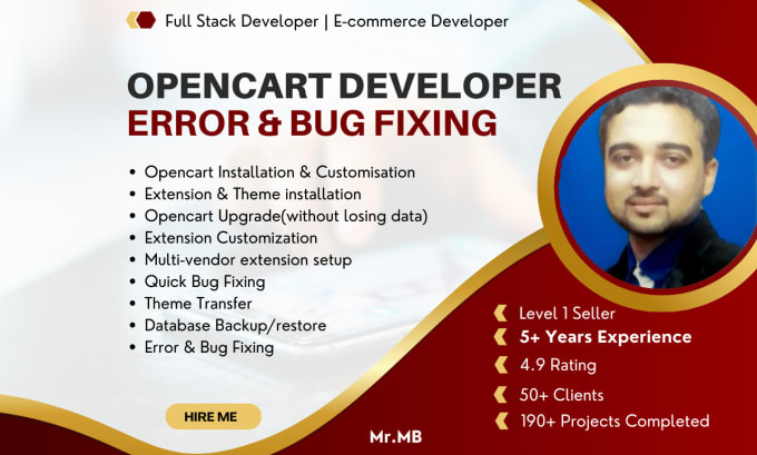 Gig Preview - Your opencart bugs removal or fix expert opencart issue or errors