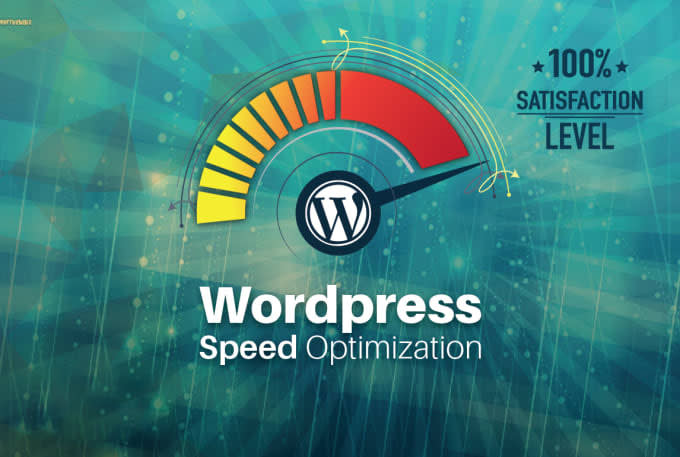 Gig Preview - Speed up your wordpress website speed