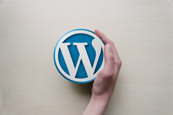 Gig Preview - Be your wordpress web developer and web designer