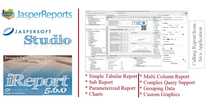 Gig Preview - Design and develop jasper report using ireport