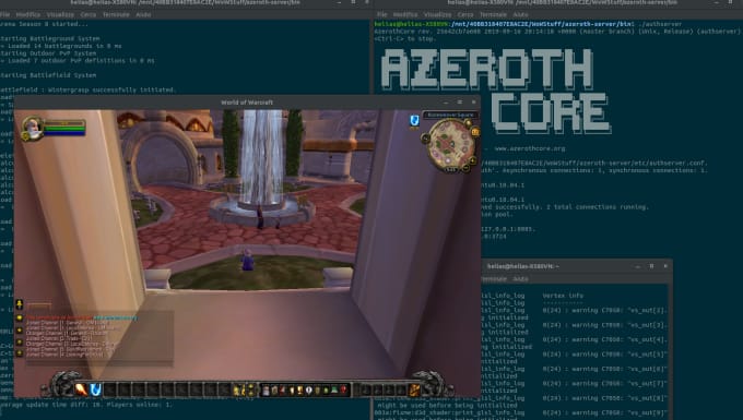 Gig Preview - Create private world of warcraft server