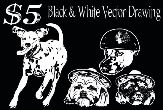 Gig Preview - Draw black and white drawing vector of any object 12 hours