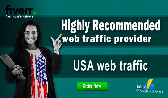 Gig Preview - Send unique USA traffic to your website, blog, online stores