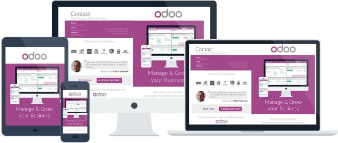 Gig Preview - Fix odoo website and odoo theme