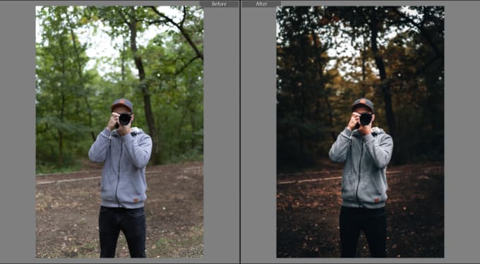 Gig Preview - Edit your photos in lightroom super fast