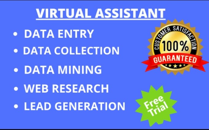 Gig Preview - Do data entry, typing, web search as a virtual assistant