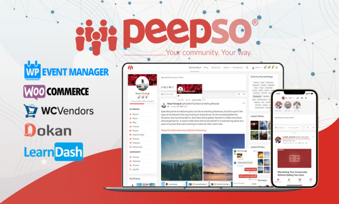 Gig Preview - Be your peepso social networking website expert