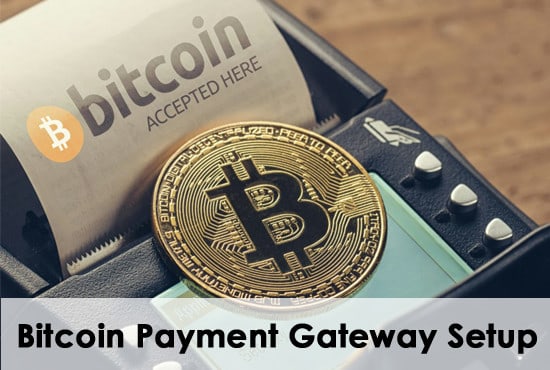 Gig Preview - Setup bitcoin secure payment gateway