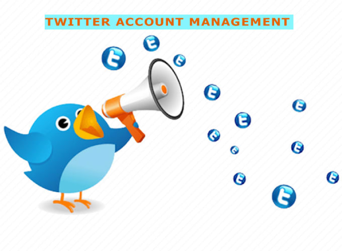 Gig Preview - Manage your twitter account professionally