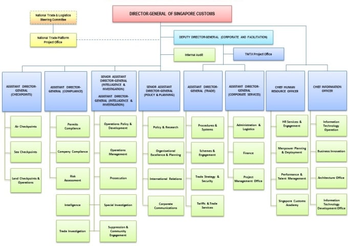 Bestseller - design flowchart,organogram,organization chart, and flow diagram