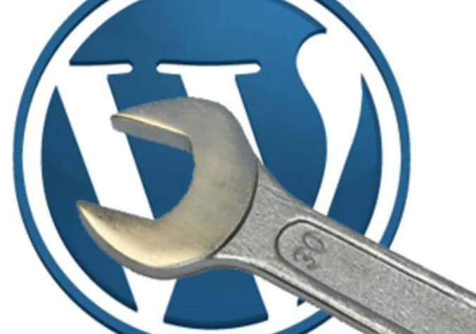 Gig Preview - Fix your wordpress website