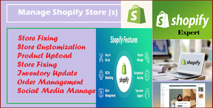 Gig Preview - Manage your shopify store, shopify store manager and shopify designer