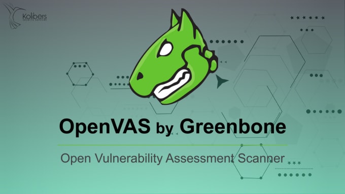 Gig Preview - Make a vulnerability scan for your internet facing systems