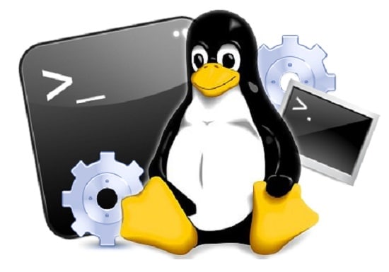 Gig Preview - Fix, manage, repair and help maintain your linux server