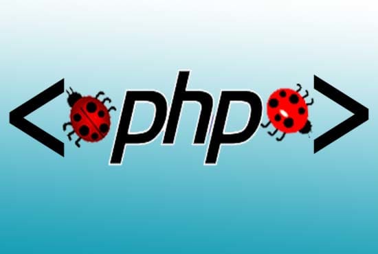 Gig Preview - Fix bugs and issues in your php web app