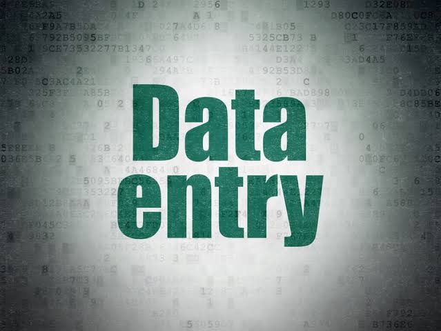 Gig Preview - Fastest data entry in one day, internet research