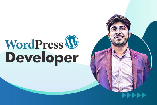 Gig Preview - Be your full stack wordpress developer