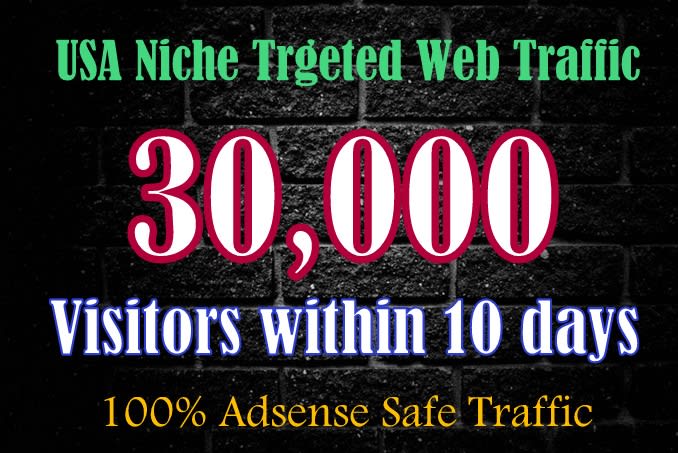 Gig Preview - Generate 30k USA targeted website traffic within 10 days