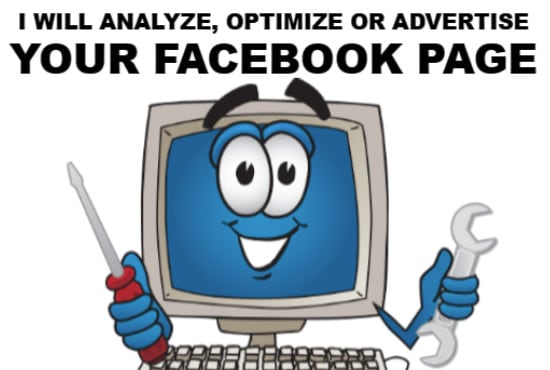 Gig Preview - Analyze and optimize your facebook page