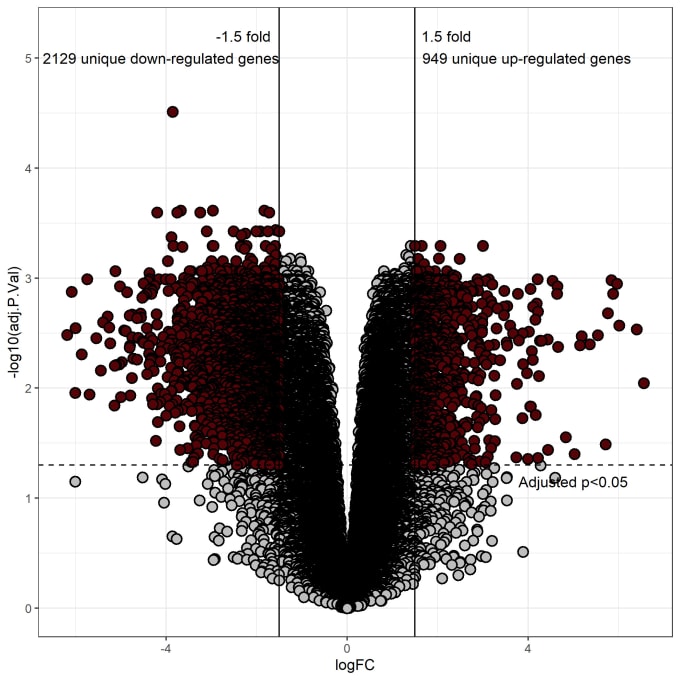 Bestseller - do all bioinformatics, genomics and transcriptomics analysis in r and linux