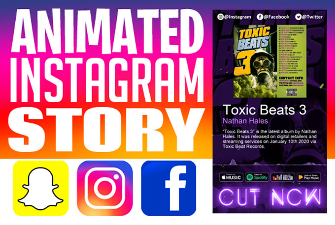 Gig Preview - Create a animated instagram, facebook story video promo