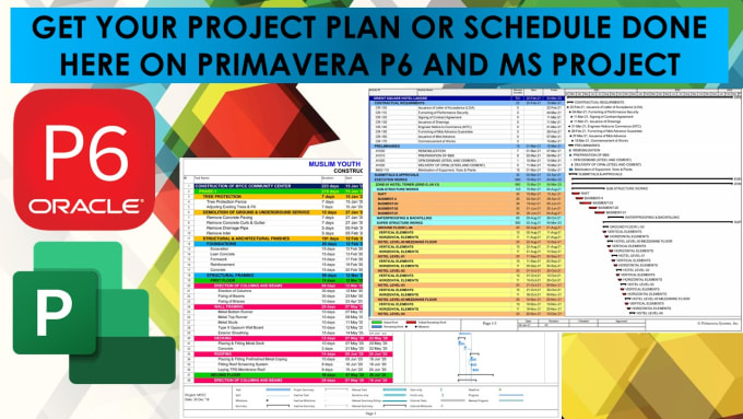 Gig Preview - Do project schedules on primavera p6 or ms project