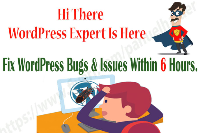 Gig Preview - Quick fix wordpress issues, wordpress bugs, wordpress errors