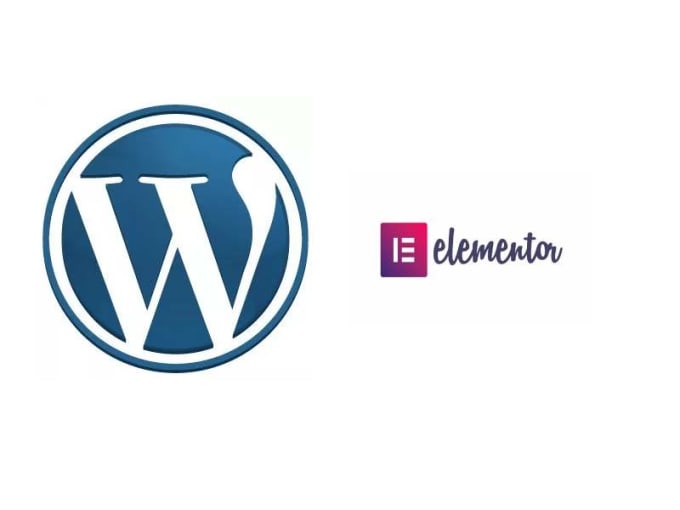 Gig Preview - Design a professional wordpress website using elementor pro