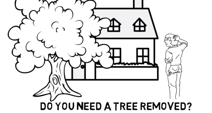 Bestseller - create this tree service white board video