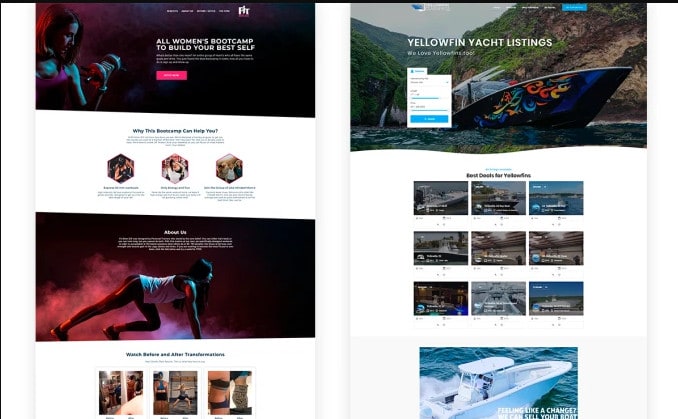 Gig Preview - Build stunning wordpress landing page or website