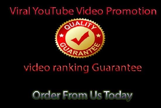 Gig Preview - Do full viral promotion to the world for your youtube video