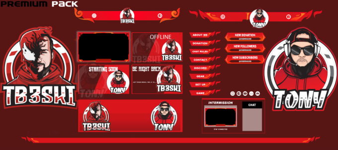 Gig Preview - Craft custom animated twitch stream overlays,logo,banner and emotes