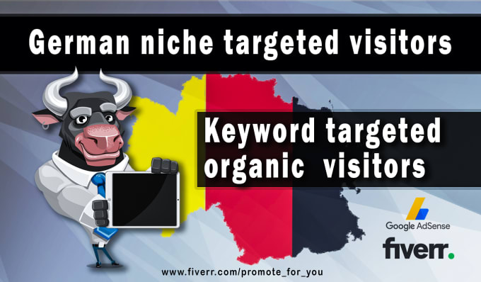 Gig Preview - Send german niche targeted organic traffic from google