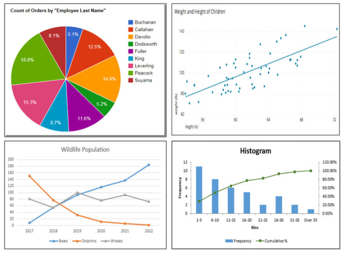 Gig Preview - Create excel graphs and charts for your data