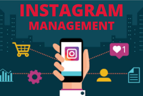 Gig Preview - Do instagram management to grow followers and engegement