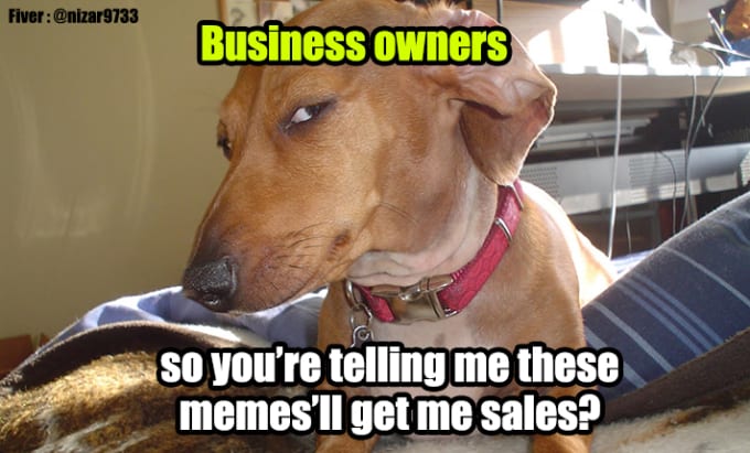 Page 3 - 24 Best meme Services To Buy Online