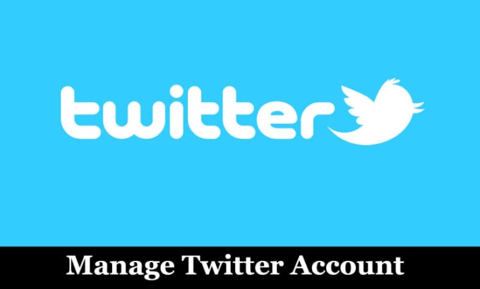 Gig Preview - Be your twitter social media account manager