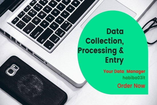 Gig Preview - Do data entry, data collection, and data processing