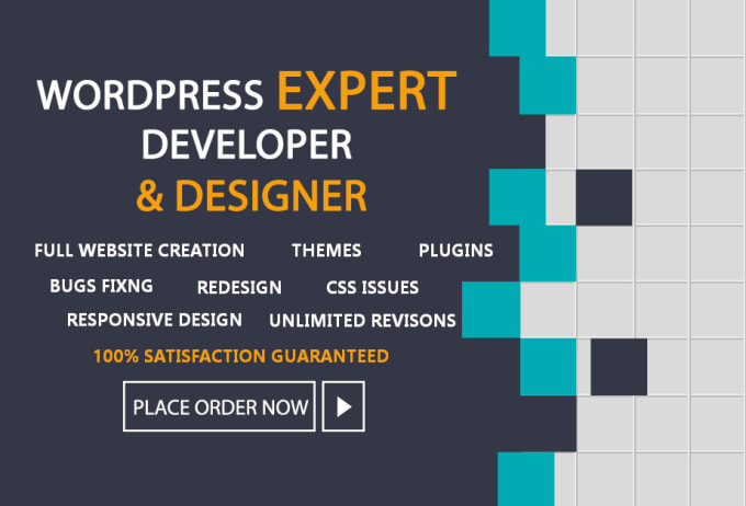 Gig Preview - Be your skilled wordpress developer, designer, expert