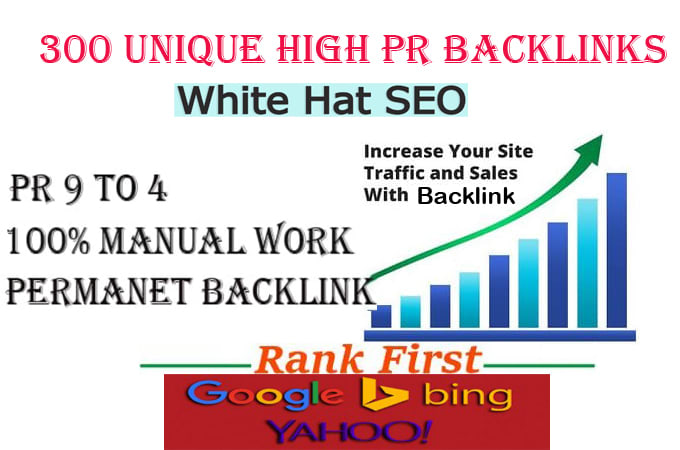 Gig Preview - Do 300 high PR backlink help for first page google ranking