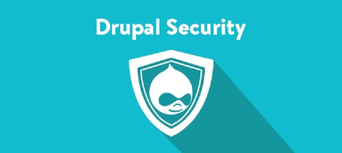 Gig Preview - Do drupal website  security update of core and modules