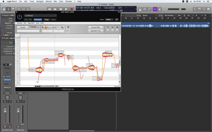 Gig Preview - Tune and pitch correct your vocal, add fx