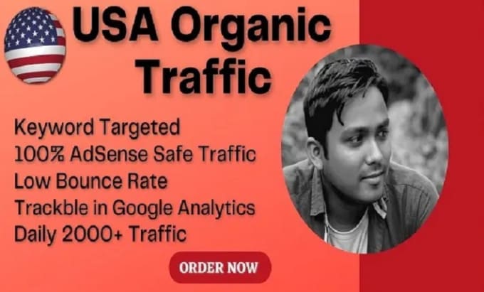 Bestseller - bring google adsense safe USA organic targeted web traffic