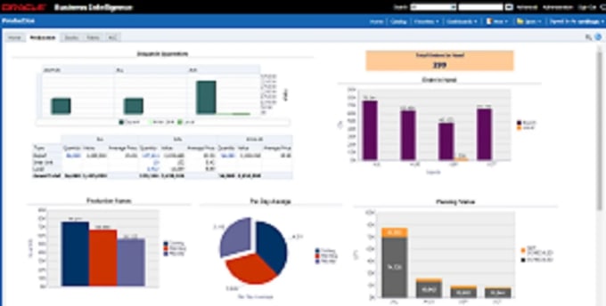 Gig Preview - Create dashboards and reports using obiee and otbi